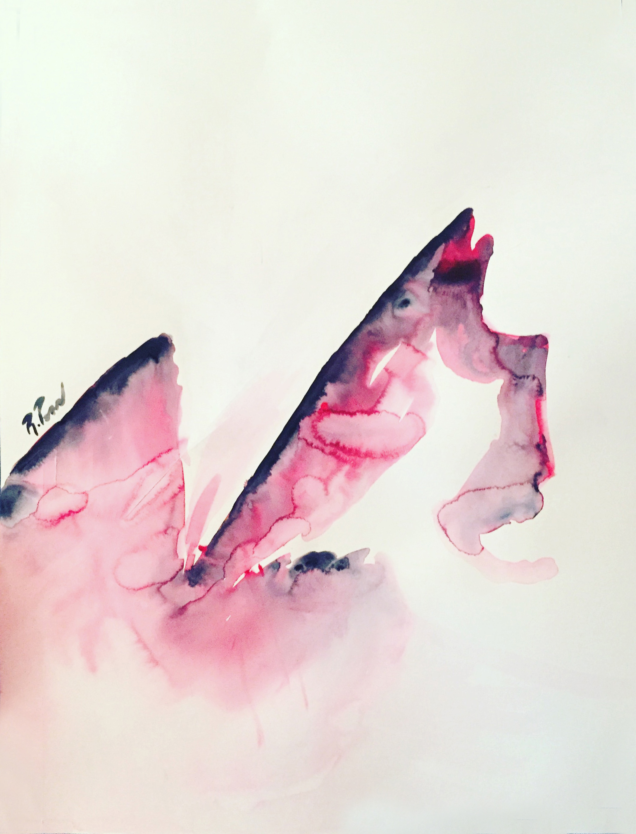 by Rebecca Pons